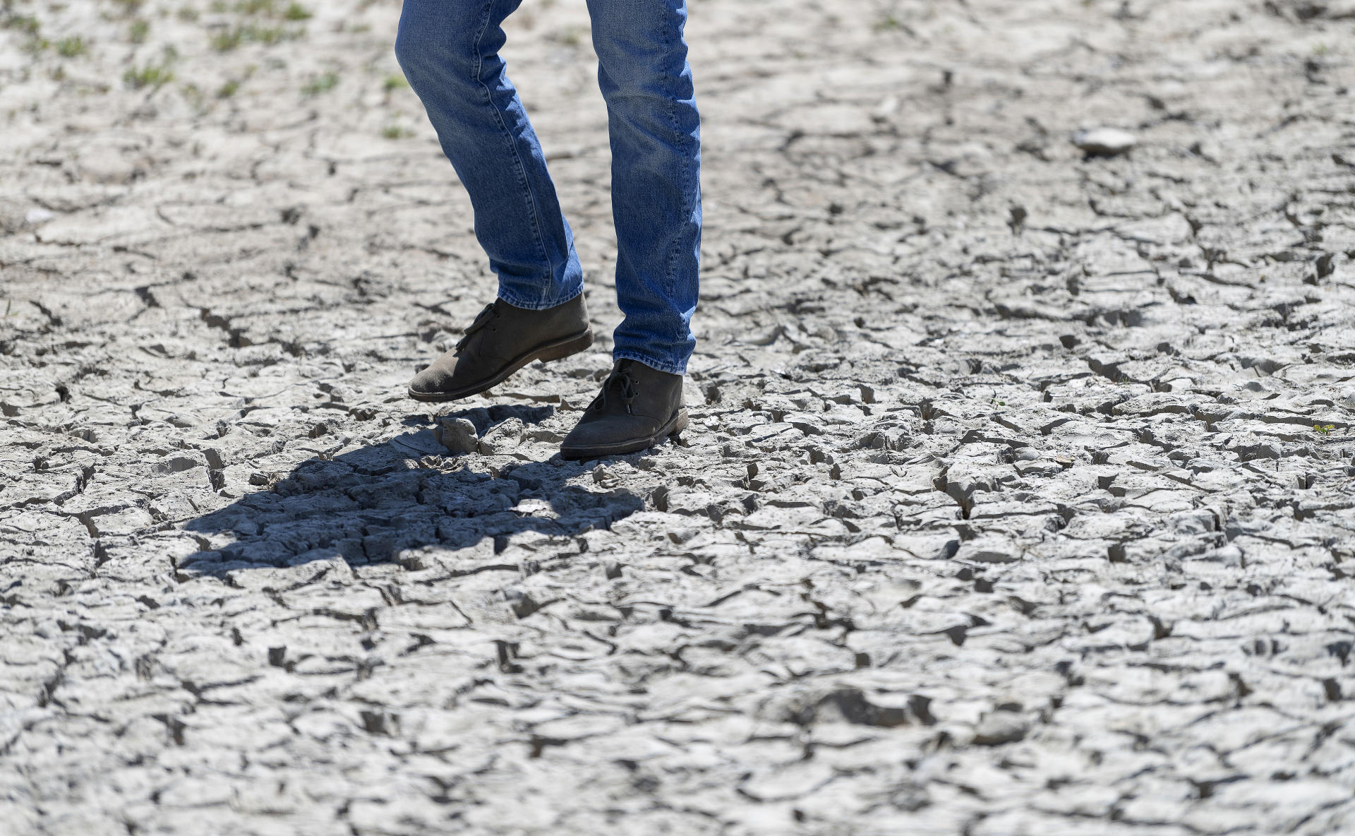 Drought Press Conference.